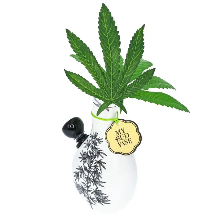 Love Bud Water Pipe – My Bud Vase